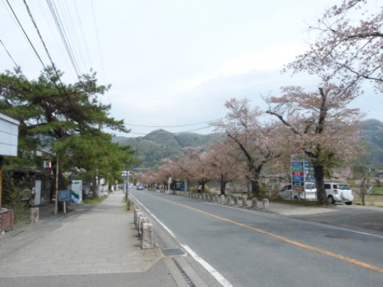 画像44